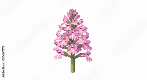 A cluster of delicate pink orchid blooms on a green stem