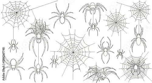 A collection of black and white drawings of spiders and their webs