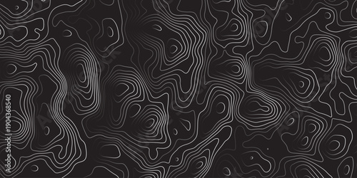 Abstract dark relief pattern featuring swirling contour lines, organic motion, soft gradients, elegant minimal composition, cinematic texture