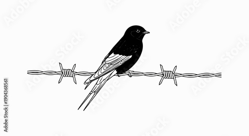A bird rests on a barbed wire fence in a simple black and white illustration