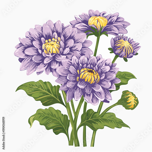 A vibrant illustration of blooming flowers and buds on stems with green leaves from a frontal viewpoint