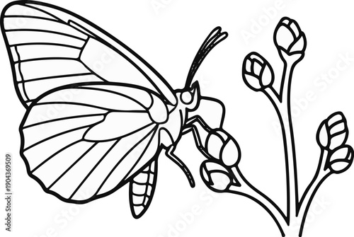 A delicate butterfly with patterned wings rests on a stem with unopened buds