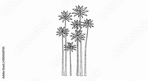 A black and white sketch of a cluster of tall palm trees with distinct fronds