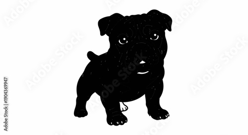 A black puppy with a short snout and floppy ears stands on a white background