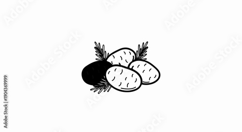 A black potato and three white potatoes with sprigs of rosemary