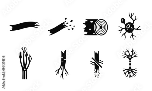 Set of Abstract Organic Vector Icons: Nerve Cells, Splintering Wood, Fractured Fibers, and Biological Damage Symbols