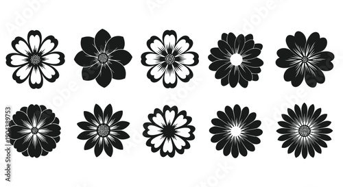 Collection of ten stylized black and white daisy or chrysanthemum flower silhouettes perfect for various graphic design applications and floral projects