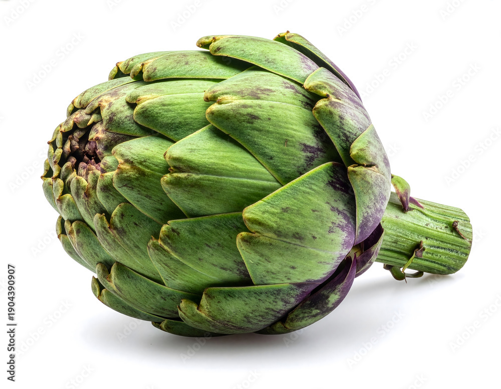 Obraz premium artichoke isolated on white background
