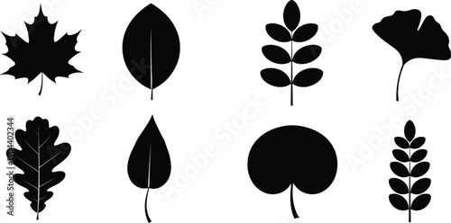Large collection of black leaf silhouettes including maple oak ginkgo and various tree leaves isolated on white background for autumn nature and botanical design projects