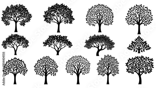 Black Silhouette Trees Varied Shapes Sizes.