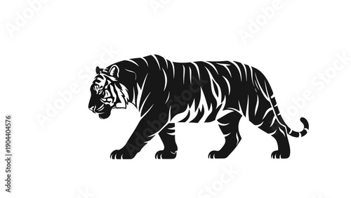 Black and White Tiger Illustration.