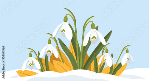 Delicate snowdrops emerge from winter snow with a light blue sky