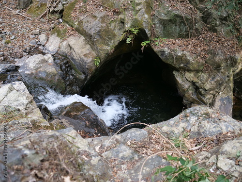 山の沢水が流れ込む岩の天然水たまり