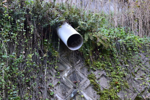 斜面に設置された排水管とシダ植物に覆われた法面