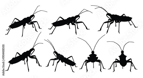 Black insect silhouettes showcasing various arthropod angles and postures