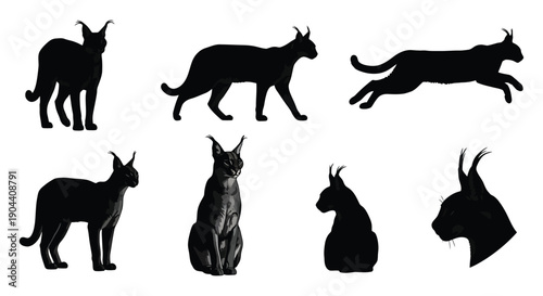 Black caracal cat silhouettes and stylized illustrations showcasing various poses