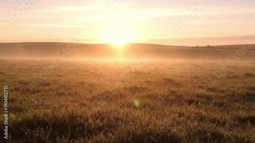 Abstract Light Play Artistic abstract shot focusing purely on the atmospheric shimmer and light patterns against a clean, uncluttered background. No discernible objects, just the interplay of light,