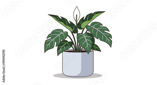 Vector illustration of a single plant in pot