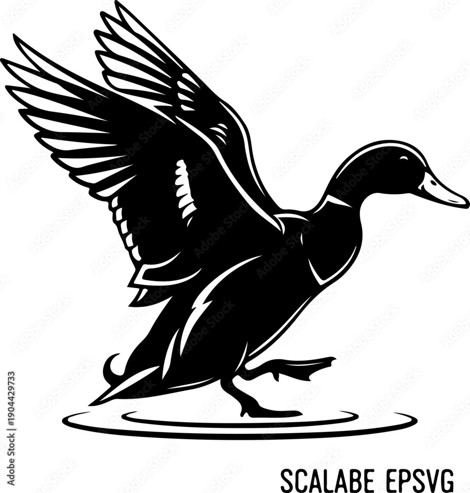 Fototapeta premium Duck Landing on Water silhouette vector illustration