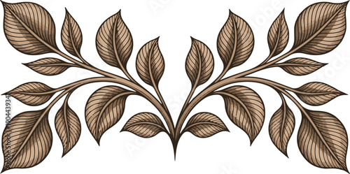 Elegant Symmetrical Botanical Branch Decorative Element Vector Illustration