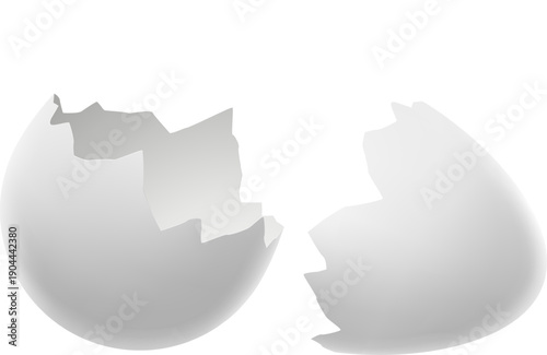 Broken eggshell pieces representing new beginning concept