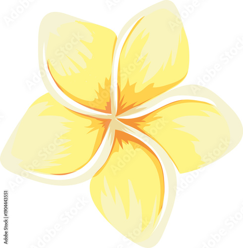 Yellow plumeria flower vector illustration with tropical design