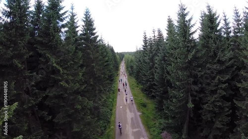 Forest Runners