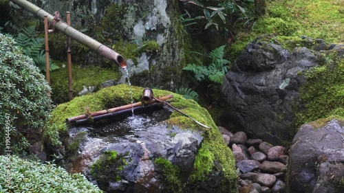 Shishi-odoshi Bamboo Water Feature in Traditional Japanese Garden