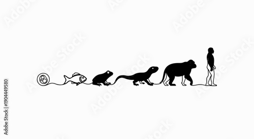 A simplified depiction of evolution from single cells to a human figure