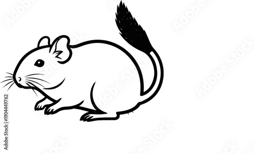 A simple black and white line drawing of a chinchilla on a white background