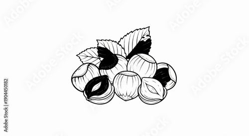 A pile of sketch-style hazelnuts with leaves, some cracked open