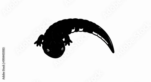 A simple black illustration of a salamander with white markings