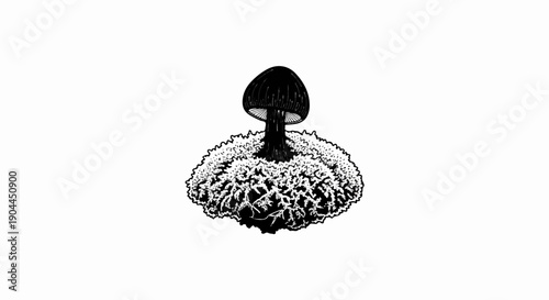 A lone dark mushroom sprouts from a textured mossy mound