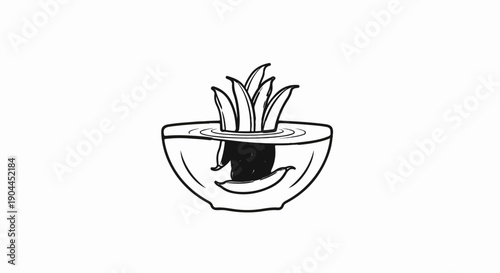 A simple sketch shows a plant in a bowl of water, roots submerged and visible