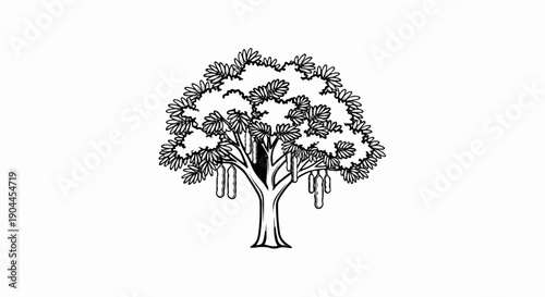 A monochrome sketch of a flowering tree with hanging pods