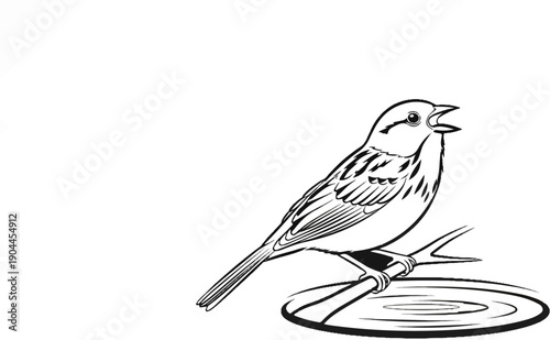 A line drawing of a small bird perched on a branch above water
