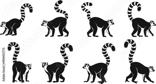 Ring tailed lemur silhouette set in different walking poses, black and white wildlife illustration, exotic animal collection, isolated nature design