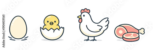 Egg to chicken cartoon lifecycle: egg, chick, chicken, meat sequence