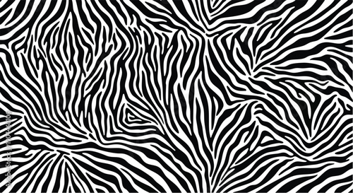 Zebra stripes pattern black and white design textured background