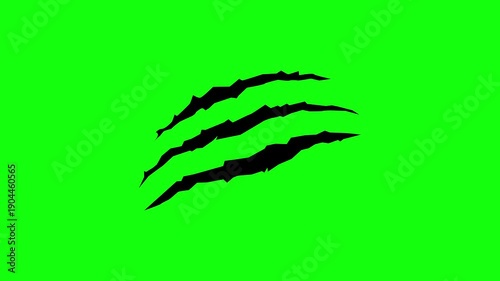 Cat tiger scratches, wild animal claws scratch, horror and grunge