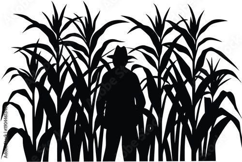 corn field silhouette vector illustration