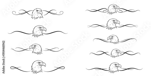 Decorative text dividers featuring bald eagle head motifs in elegant line art design  