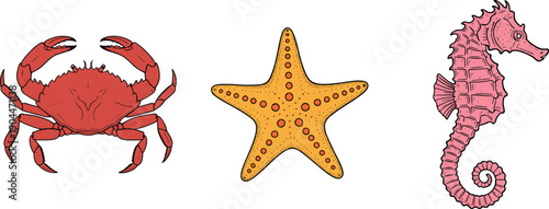 Crab starfish and seahorse marine animals vector illustration, ocean wildlife aquatic biology icons on transparent background
