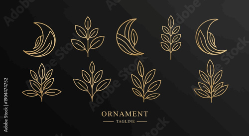 Gold leaf botanical and celestial ornament patterns on black background.