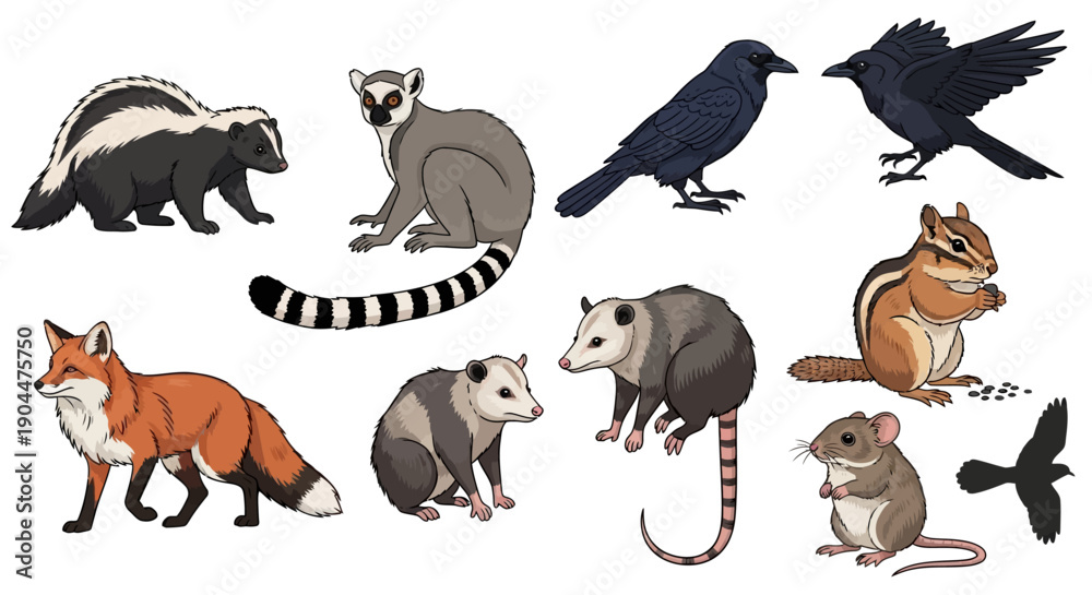 Fototapeta premium Diverse Wild Animals Cartoon Illustration Set