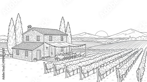 Scenic countryside vineyard with rustic stone house at sunrise in outline style