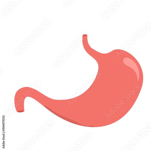 Illustration of Stomach Gastritis Disease