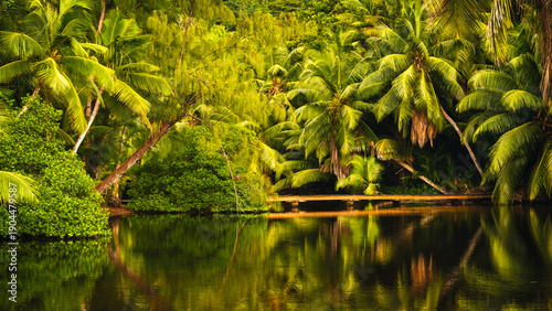 Lush tropical vegetation reflected in a serene body of water along Anse Soleil beach on Mahe Island, Seychelles. A wooden bridge offers a peaceful escape amidst the vibrant greenery.