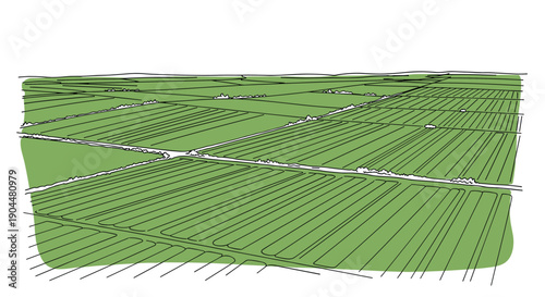 Aerial view of green agricultural fields with minimalist hand-drawn style