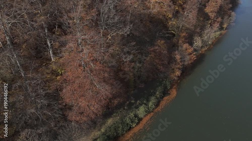 Ungraded log long take aerial descent from diagonal autumn woods to lake surface with floating foliage and sky reflection gradient